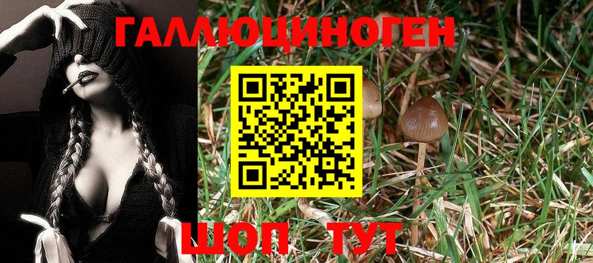 Псилоцибиновые грибы мицелий  Вход с VPN  Псилоцибиновые грибы MAGIC MUSHROOMS  Каменск-Шахтинский 